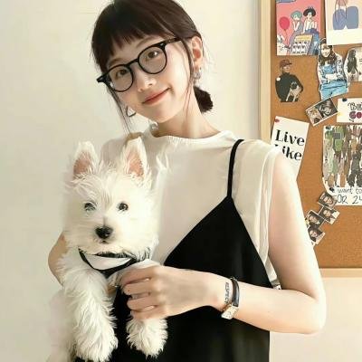 骇客交锋